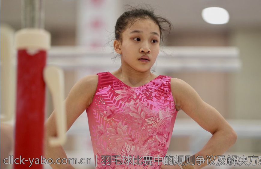 羽毛球比赛中的规则争议及解决方案