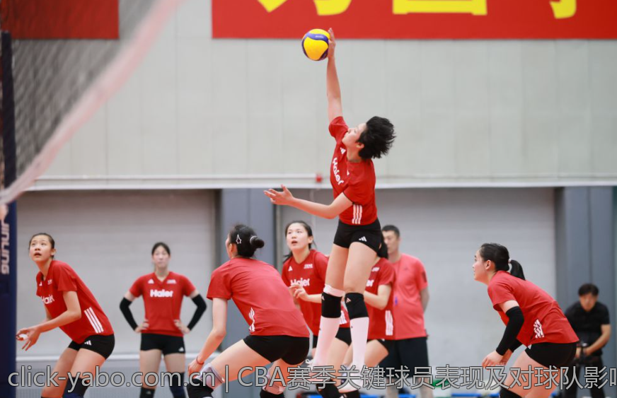 CBA赛季关键球员表现及对球队影响分析